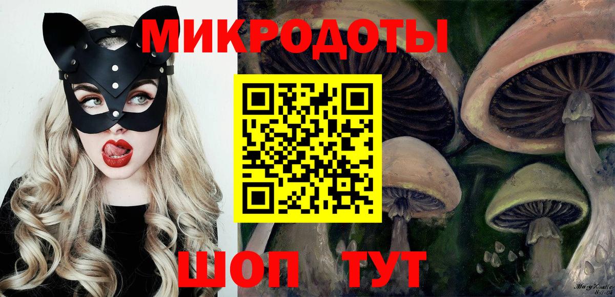 Псилоцибиновые грибы мицелий Кропоткин